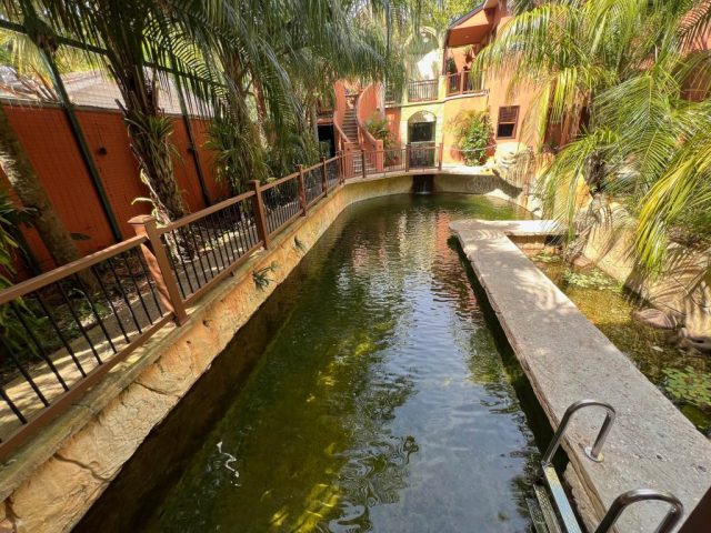 Outside showing water