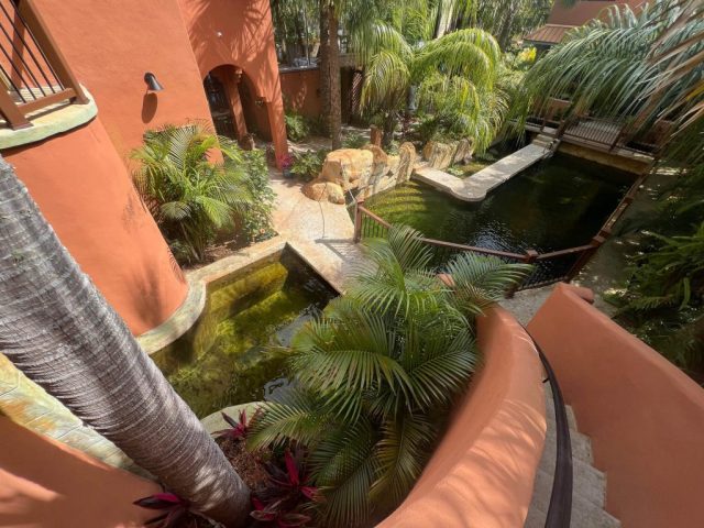 Looking down toward water feature