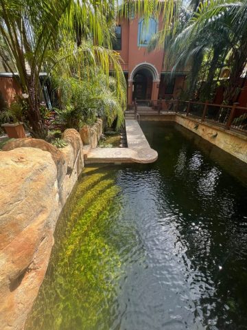 Another view of the water feature