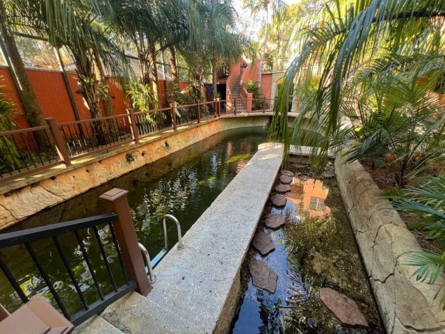 Another view of water garden